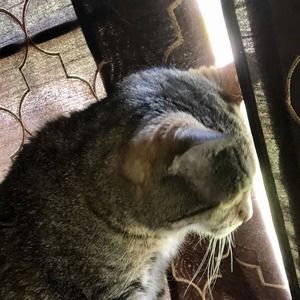 Meet your Posher, Diane